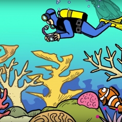 Picture of a still from the JIm Toomey video. showing a cartoon of a scuba diver swimming over a coral reef taking photos. 