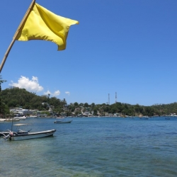 Picture of the ocean and shoreline in Puerto Galera with a yellow flag in the foreground. 