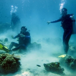 Picture of three scuba divers on the ocean floor. 