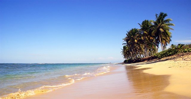 Picture of a clean beach and the ocean. 