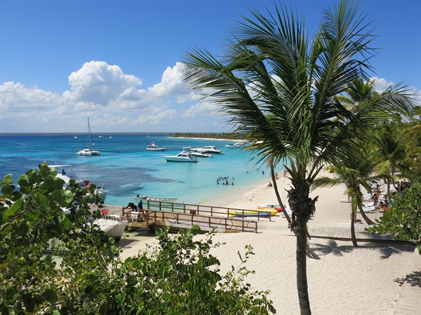 Image of a beach in Dominican Republic with a palm tree and ocean in shot