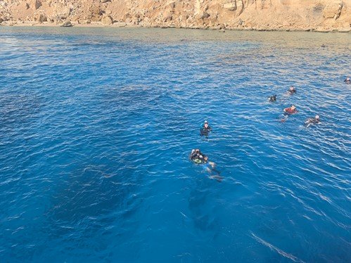 Picture of divers in the sea in Egypt. 