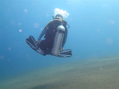 Picture of a scuba diver swimming in the ocean, close to the ocean floor. 