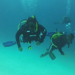 Picture of three scuba divers swimming in the ocean. 