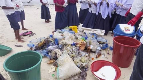 Picture of trash collected on a beach clean being sorted. 