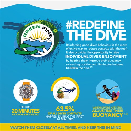 Picture of a Green Fins graphic to promote # Redefine the Dive