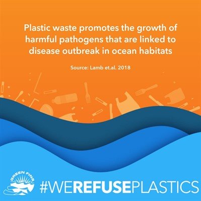 Picture of a graphic. Plastic waste promotes the growth of harmful pathogens that are linked to disease outbreak in ocean habitats. Source: Lamb et.al. 2018 