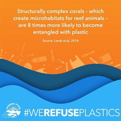 Picture of a graphic. Structurally complex corals - which create microhabitats for reef animals - are 8 times more likely to become entangled with plastic. Source: Lamb et.al. 2018 