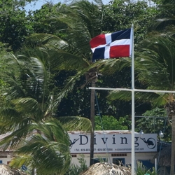 Picture of the Dominican Republic flag. 