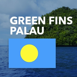 Picture of the ocean and shoreline in Palau, with the Palau flag and text reading 'Green Fins Palau'. 