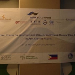 Picture of the banner for the Regional Forum on Solutions for Oceans, Coasts and Human Well-Being in Asia and the Pacific forum. 