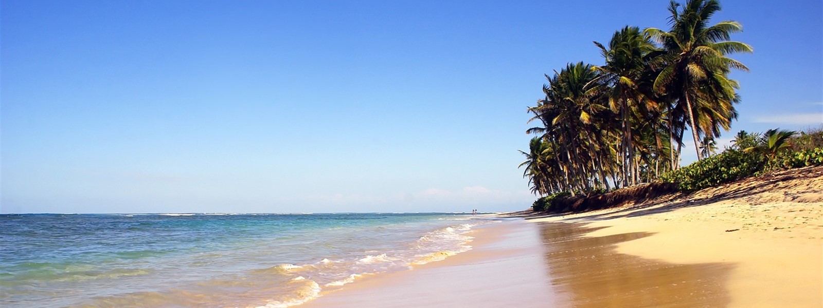 Picture of a beach and the ocean in the Caribbean.