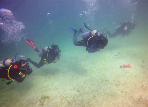 Picture of four scuba divers swimming underwater in the Dominican Republic. 