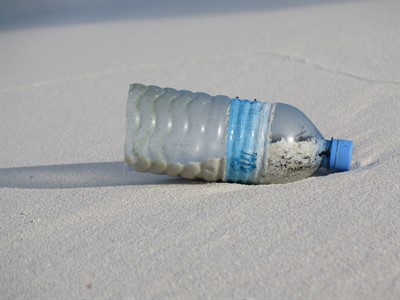 Picture of a single-use plastic bottle on a beach. 