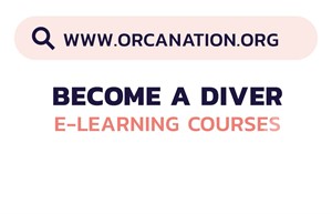 Graphic with the OrcaNation website. www.orcanation.org. Become a Diver E-Learning Courses. 