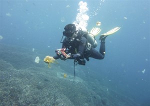 Picture of a SCUBA diver underwater collecting marine rubbish. 