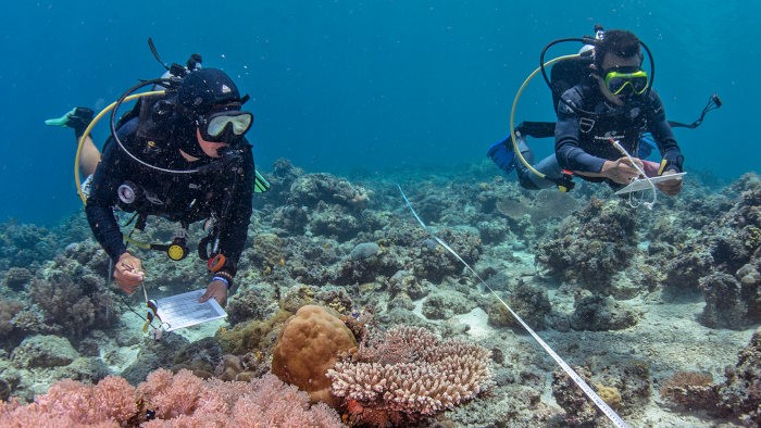 Picture of two divers on a coral reef. They are taking measurements and making notes. 