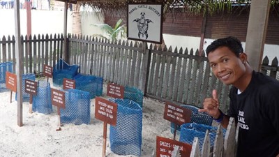 Picture of a person giving a thumbs up. They are standing in front of a turtle protection area. 