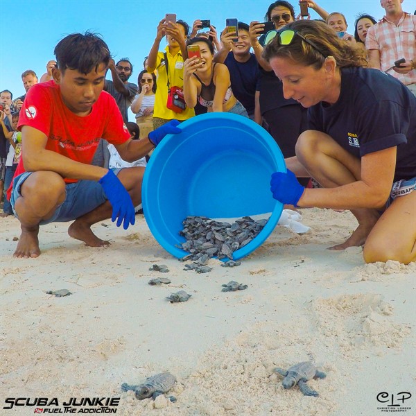 Picture of two people releasing baby turtles onto a beach. There is a group of people in the background taking photos. 