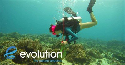 Picture of a diver collecting marine trash from a reef. 