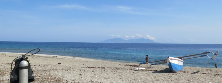 Picture of the beach and ocean in Timor-Leste.