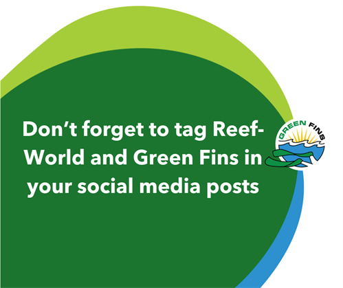 Picture of a Green Fins graphic: Don't forget to tag Reef-World and Green Fins in your social media posts. 