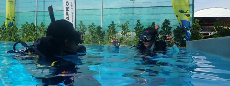 Picture of snorkelers in the water.