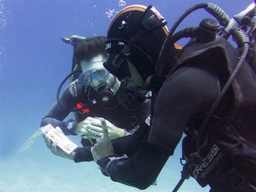 Picture of two scuba divers underwater. They are looking at an information booklet. 