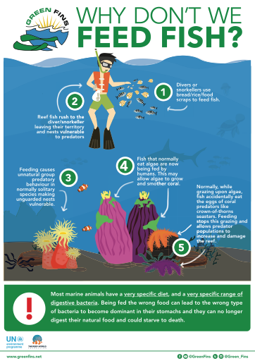 Green Diving: Do's and Don'ts and Best Practices