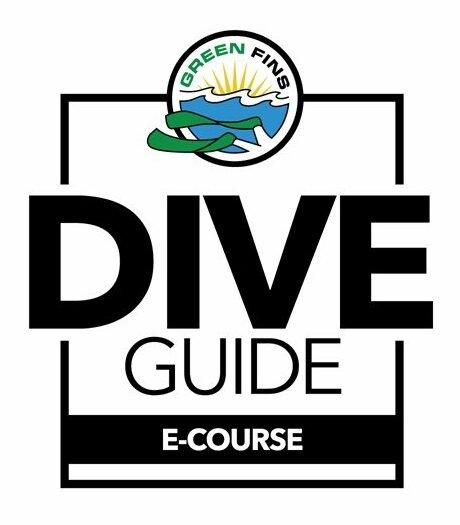 Dive Guide e-Course