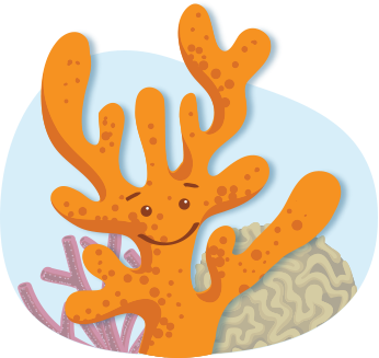 Cartoon of a coral reef