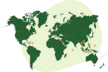 Map of the world depicting the locations where Green Fins is active