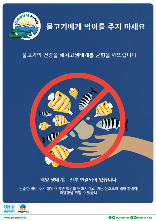 5 reasons why we shouldn't feed the fish – Green Fins