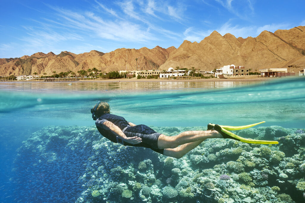 Snorkelling Activity, South Sinai, Egypt