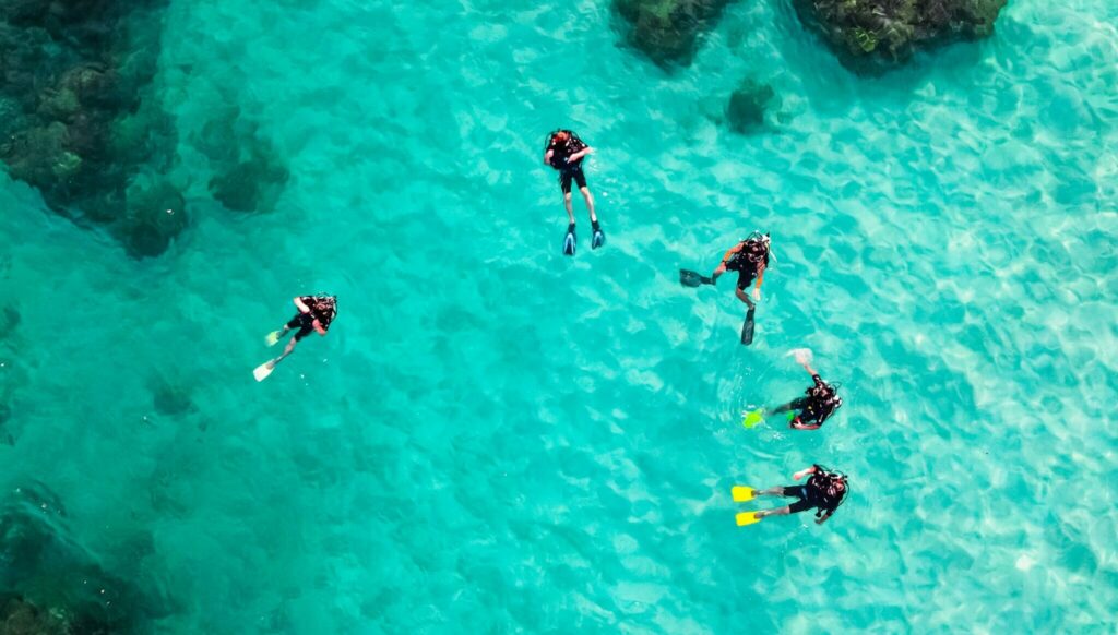 Divers in the open water