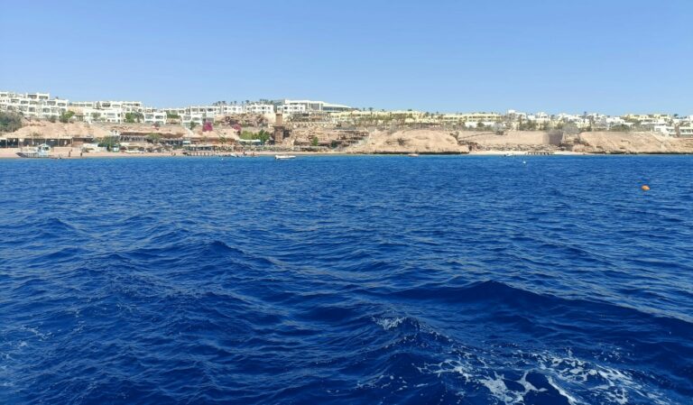 Green Fins in Egypt took a leap towards independence and being sustainable
