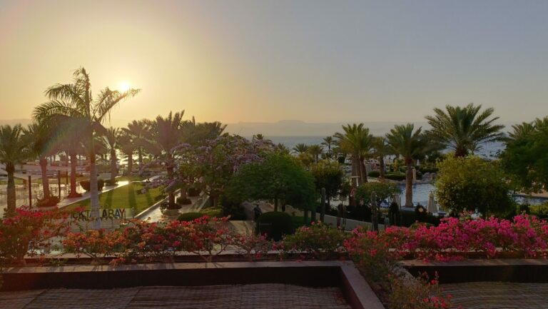 My first Green Fins country launch: Jordan, Aqaba