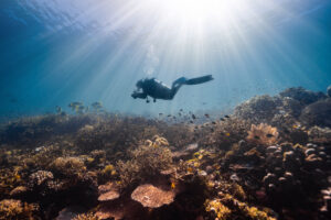 11 Tips on How to Take the Most Inspiring Underwater Photos
