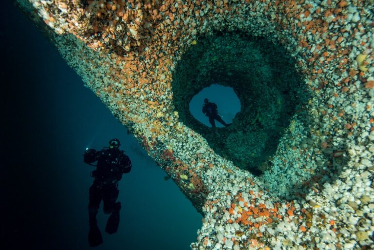 Icebreakers in Norway: Diving into the World’s Strongest Current for Conservation