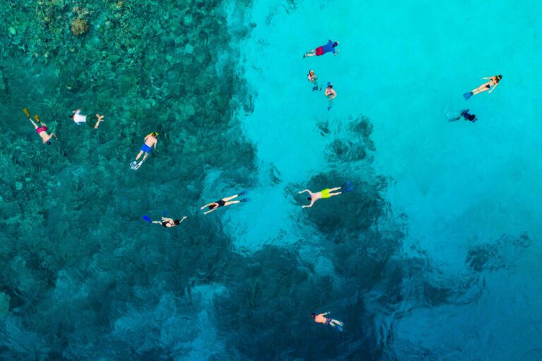 Sea the Change: What we Learned About Sustainable Snorkelling