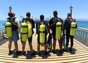 From Eco-Guidelines to Gold Certification: Deep Blue Dive Center’s Sustainability Journey