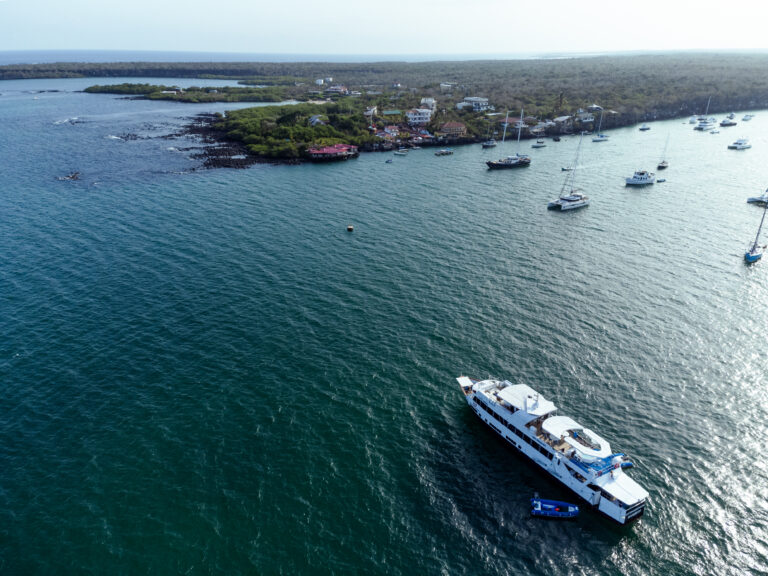 What Sustainability Looks Like on a Liveaboard: Applying Green Fins in Practice