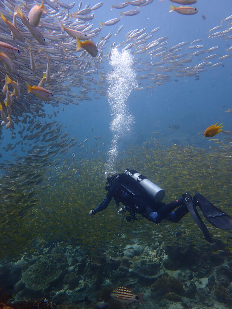Diver underwater surrounded by schools of fish © Jenni Kuningas