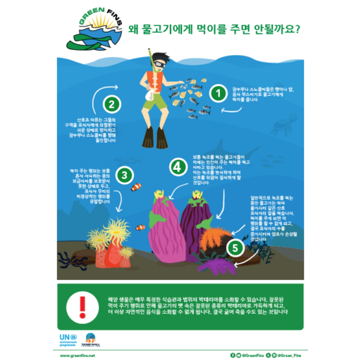 5 reasons why we shouldn't feed the fish Green Fins